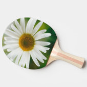 White Oxeye Daisy - Leucanthemum vulgare Tafeltennisbatje (Zijkant)