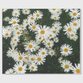 White Oxeye Daisy Meadow Cadeaupapier (Vlak)