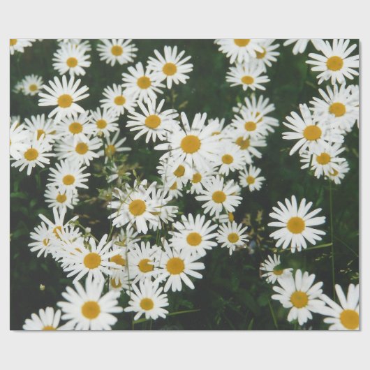 White Oxeye Daisy Meadow Cadeaupapier (Vlak)