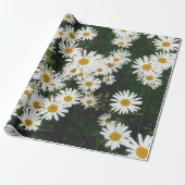 White Oxeye Daisy Meadow Cadeaupapier (Uitgerold)