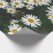 White Oxeye Daisy Meadow Cadeaupapier (Hoek)