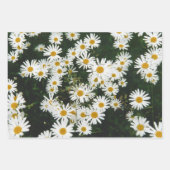 White Oxeye Daisy Meadow Inpakpapier Vel (Voorkant 3)