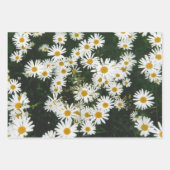 White Oxeye Daisy Meadow Inpakpapier Vel (Voorkant 3)