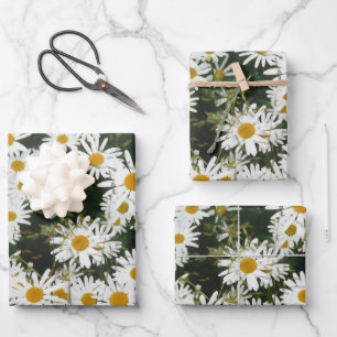 White Oxeye Daisy Meadow Inpakpapier Vel
