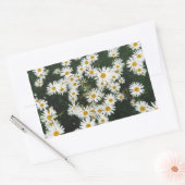 White Oxeye Daisy Meadow Rechthoekige Sticker (Envelop)