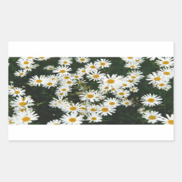 White Oxeye Daisy Meadow Rechthoekige Sticker
