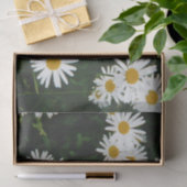 White Oxeye Daisy Meadow Tissuepapier (Geschenk)