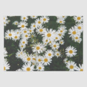 White Oxeye Daisy Meadow Tissuepapier (Voorkant)