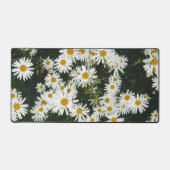 White Oxeye Daisy, Moon Daisy Meadow Bureaumat (Voorkant)