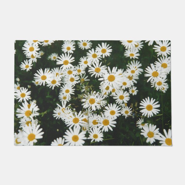 White Oxeye Daisy, Moon Daisy Meadow Deurmat (Voorkant)