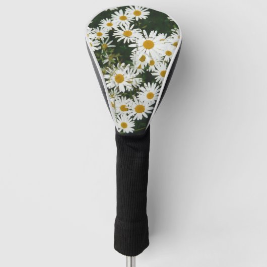 White Oxeye Daisy, Moon Daisy Meadow Golfheadcover (Voorkant)