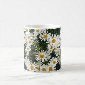 White Oxeye Daisy, Moon Daisy Meadow Koffiemok (Center)