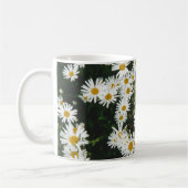 White Oxeye Daisy, Moon Daisy Meadow Koffiemok (Links)