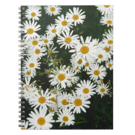 White Oxeye Daisy, Moon Daisy Meadow Notitieboek