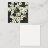 White Oxeye Daisy, Moon Daisy Meadow Notitiekaartje (Voorkant / Achterkant)