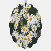 White Oxeye Daisy, Moon Daisy Meadow Ornament Kaart (Links)