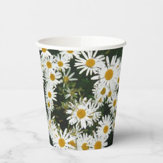 White Oxeye Daisy, Moon Daisy Meadow Papieren Bekers (Links)