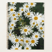 White Oxeye Daisy, Moon Daisy Meadow Planner (Voorkant)
