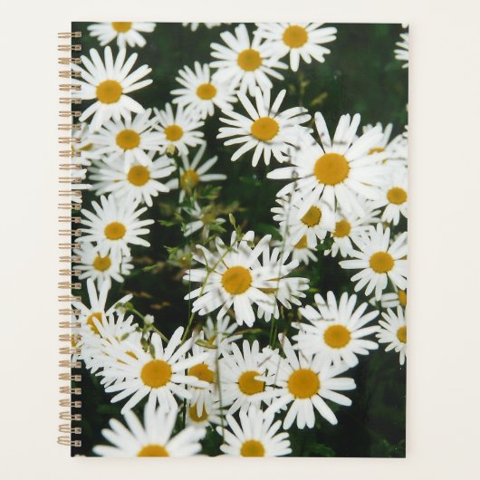 White Oxeye Daisy, Moon Daisy Meadow Planner (Voorkant)