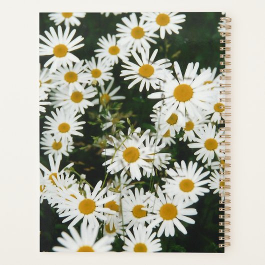 White Oxeye Daisy, Moon Daisy Meadow Planner (Achterkant)