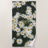 White Oxeye Daisy, Moon Daisy Meadow Strandlaken (Voorkant)