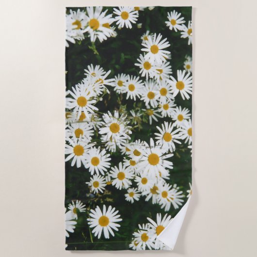 White Oxeye Daisy, Moon Daisy Meadow Strandlaken (Voorkant)