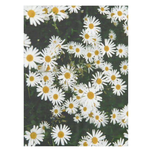White Oxeye Daisy, Moon Daisy Meadow Tafelkleed (Voorkant)