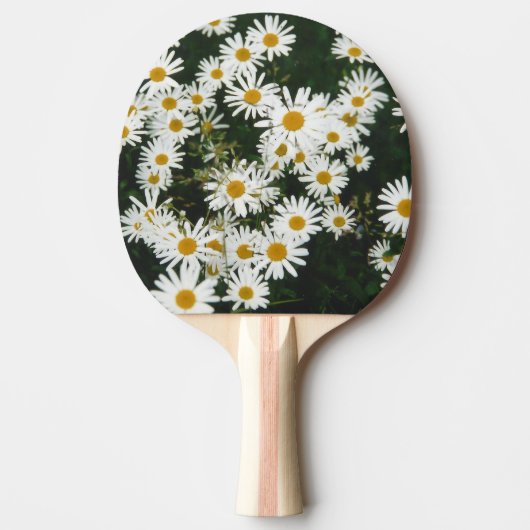 White Oxeye Daisy, Moon Daisy Meadow Tafeltennisbatje (Voorkant)