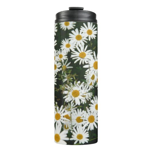 White Oxeye Daisy, Moon Daisy Meadow Thermosbeker (Voorkant)