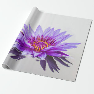 White Paars Lotus Flower Zen Cadeaupapier