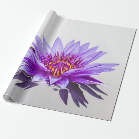 White Paars Lotus Flower Zen Cadeaupapier (Uitgerold)