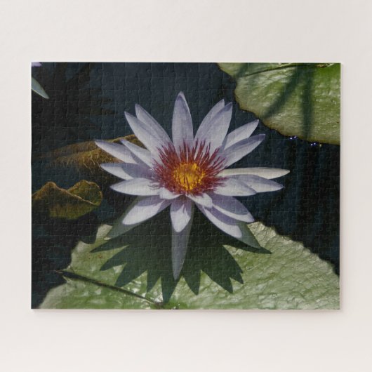 White Paars Waterlilies Jigzaag Puzzle Legpuzzel (Horizontaal)