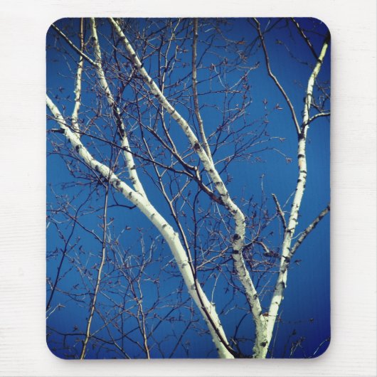 White Paper Birch Tree Blue Sky Natuur Muismat (Voorkant)