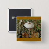 White Parasol Mushroom Magnet Vierkante Button 5,1 Cm (Voorkant /achterkant)