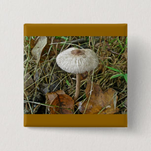 White Parasol Mushroom Magnet Vierkante Button 5,1 Cm