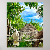 White Parrot Mexican Caribbean Poster (Voorkant)