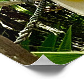 White Parrot Mexican Caribbean Poster (Hoek)