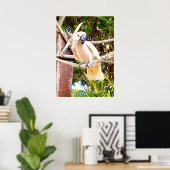 White Parrot Mexican Tropical Poster (Thuiskantoor)