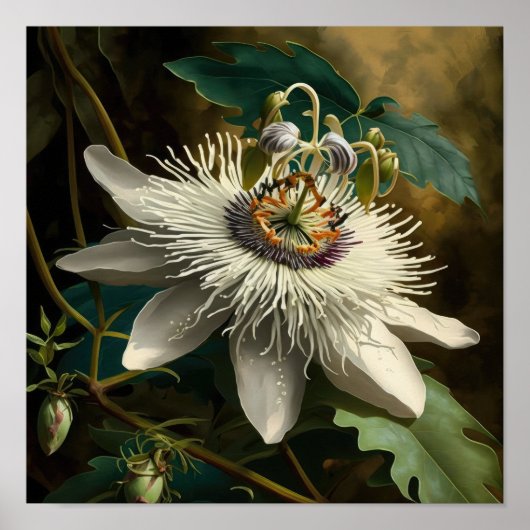 White Passion Flower Art Print Poster (Voorkant)