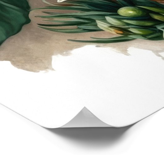 White Passion Flower Art Print Poster (Hoek)