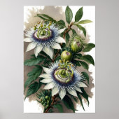White Passion Flower Art Print Poster (Voorkant)