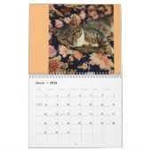 White Paw en My Feral Lady 2024 Kalender (Mar 2026)