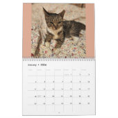 White Paw en My Feral Lady 2024 Kalender (Jan 2026)