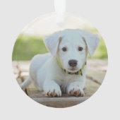 White Paw Print Roos Gold Dog Foto met naam Jaar Ornament (achterkant)