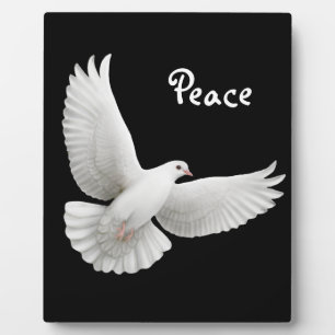 White Peace Dove  Plaque Fotoplaat