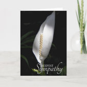 White Peace Lily Floral Sympathie Kaart (Voorkant)