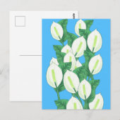 White Peace lily Illustration Briefkaart (Voorkant / Achterkant)