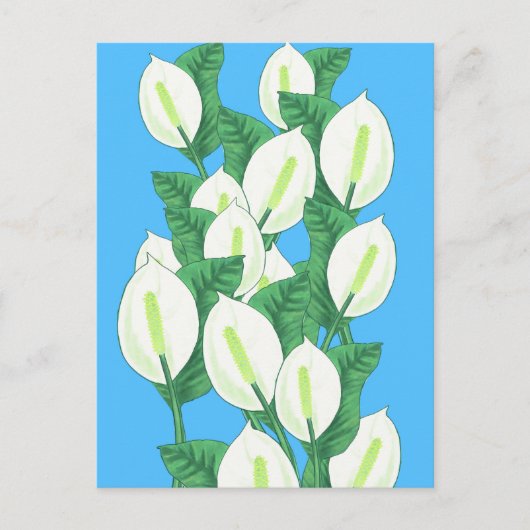 White Peace lily Illustration Briefkaart (Voorkant)