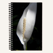 White Peace Lily Photo Floral Notitieboek (Voorkant)