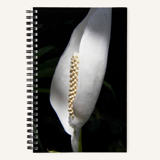 White Peace Lily Photo Floral Notitieboek (Voorkant)